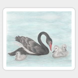 Black Swan Sticker